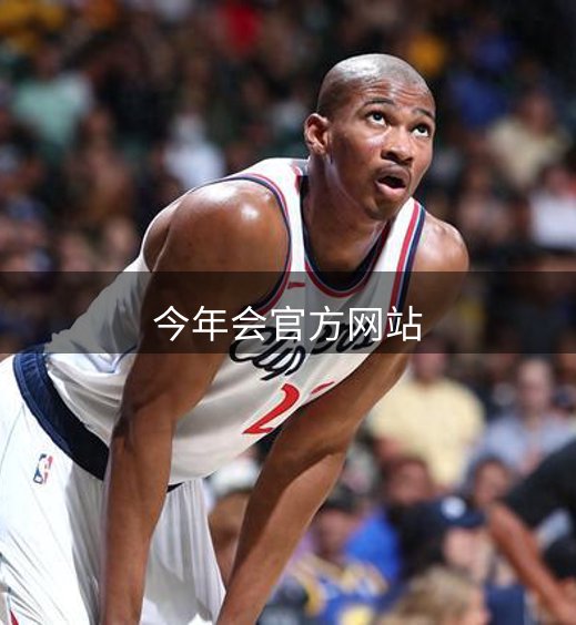 网站概况
